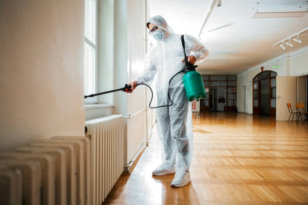 Real Estate Pest Inspections in Little Ferry, NJ